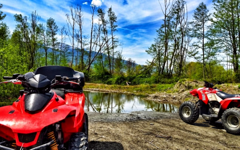 Doğanın Kalbinde Adrenalin: Sapanca Outdoor Macera Deneyimi